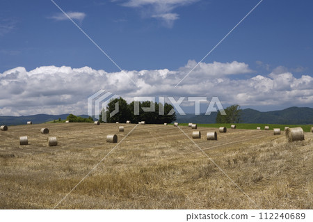 Grass roll spreading grassland and blue sky 112240689