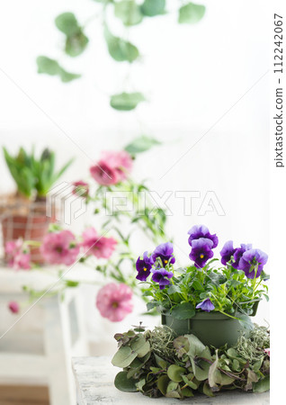 Spring flowers decorated in a bright room 112242067