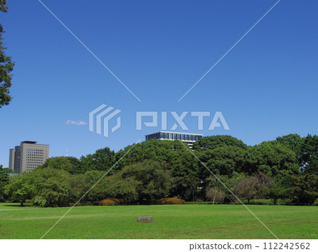草坪廣場 112242562