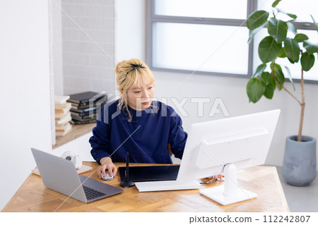 商業在電腦上工作的年輕女子 112242807