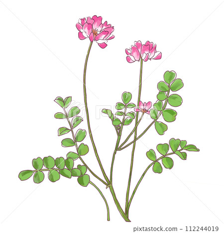 春天田野裡盛開的白楊花,手繪觸控圖 春天田野裡盛開的白楊花,手繪觸控圖 112244019