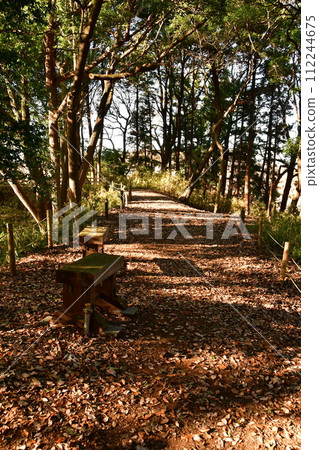 守谷城 10 盾形彎環 112244675