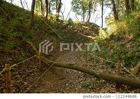 Moriya Castle 19 Mimayadai earthwork, Ninomaru earthwork, dry moat 112244686