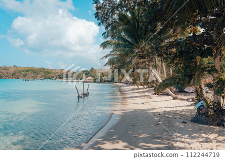Tropical beach,Coconut trees and blue sea on a summer day 112244719