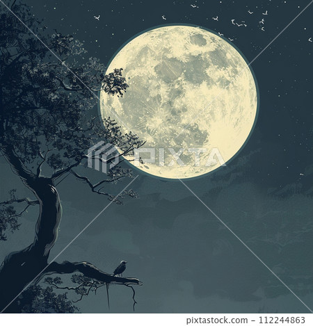  full moon 112244863