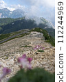 Northern Alps and dicentra in summer with clouds 112244969