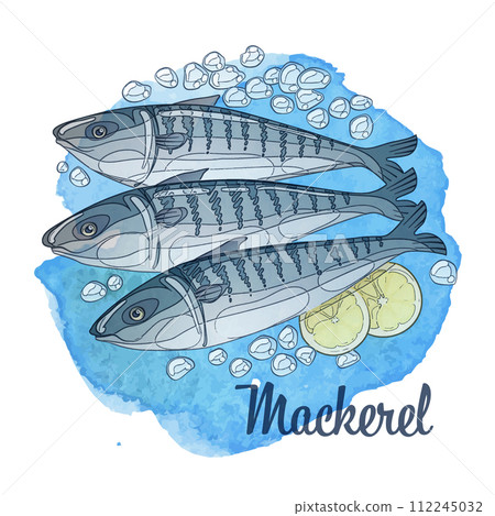 Frozen mackerel fish illustration. Cartoon vector fresh seafood icon on watercolor spot background 112245032