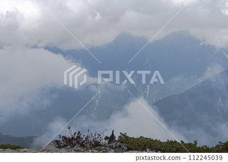 雲層覆蓋的山脈和雷鳥 雲層覆蓋的山脈和雷鳥 112245039