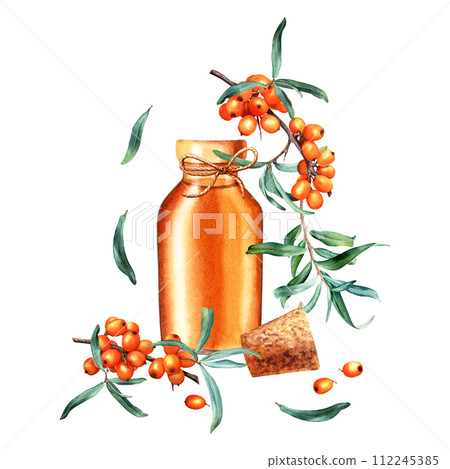 Composition with sea buckthorn and open glass oil bottle, jar with cork and decorative rope jute string. Hand drawn watercolor illustration isolated on white. For clip art template label 112245385