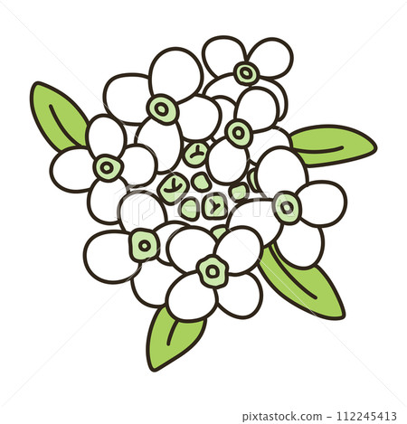 甜alicantum 甜alicantum 112245413