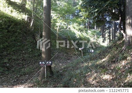 堀切留在桂山城 112245771
