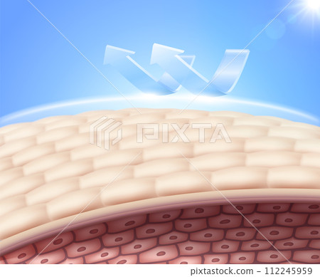 Protect skin cells from sunlight and UV rays with a sun shield. Advertisements for cosmetics, sunscreen, lotions and serums. Realistic vector illustrations. Protect skin cells from sunlight and UV rays with a sun shield. Advertisements for cosmetics, sunscreen, lotions and serums. Realistic vector illustrations. 112245959