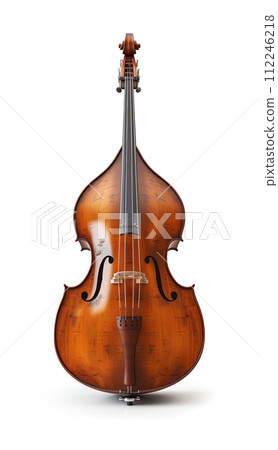 violin isolated 112246218