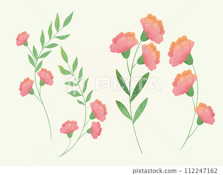 Carnation flower element set Carnation flower element set 112247162