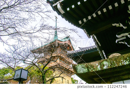 Gionkaku in Daiun-in, Kyoto 112247246