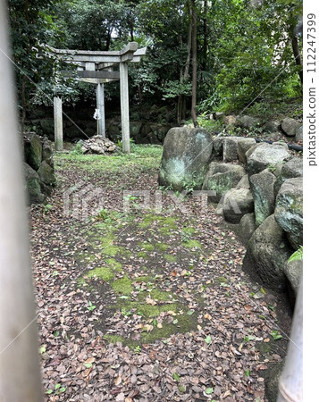 This is the three-pillar torii gate of the Kyoto shrine, Kijimaza Amaterasu Mitama Shrine. 112247399