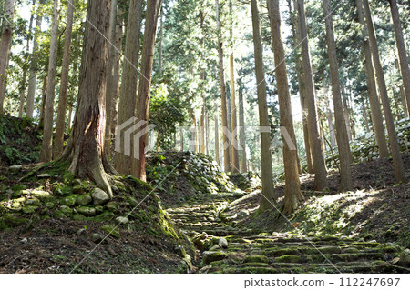 Stone wall of Nanao Castle 112247697