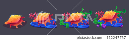 Seashell with algae and coral progress steps 112247737