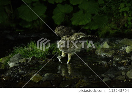 I caught it! I caught it! 112248704