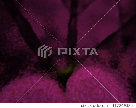 Imaginatory fractal abstract background Image 112249326