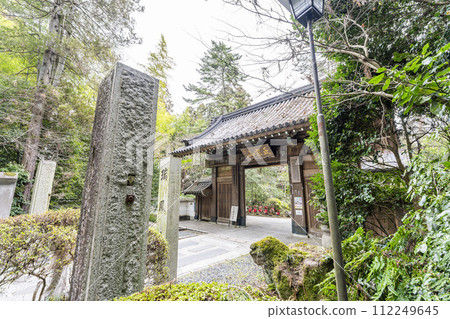 Zuihoji Temple approach and gate in winter, Sendai City, Miyagi Prefecture Zuihoji Temple approach and gate in winter, Sendai City, Miyagi Prefecture 112249645