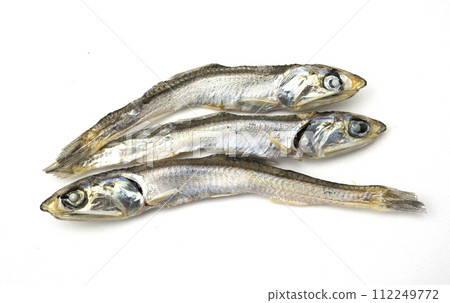 入子 入子 112249772