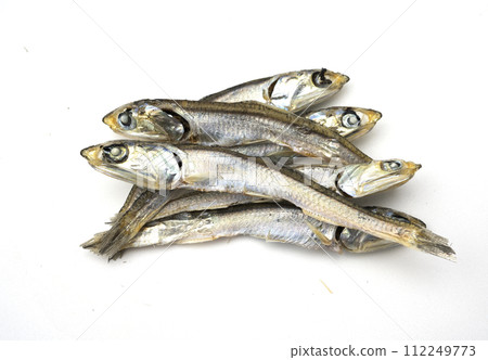 入子 入子 112249773