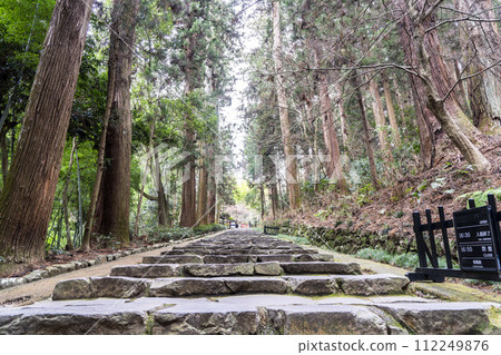 Zuihoden shrine approach and cedar trees in early spring, Sendai City, Miyagi Prefecture Zuihoden shrine approach and cedar trees in early spring, Sendai City, Miyagi Prefecture 112249876
