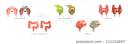 Happy Body Internal Organ with Face Vector Set 112250887