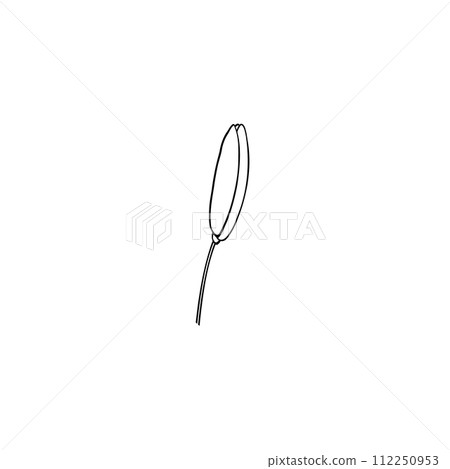 Luxury flower and logo. Trendy botanical element. Hand drawn line leave branch and blooming. Wedding elegant wildflower for invitation save the date card. Vector 112250953