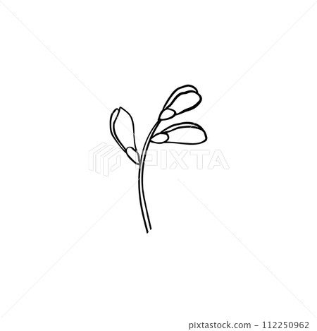 Luxury flower and logo. Trendy botanical element. Hand drawn line leave branch and blooming. Wedding elegant wildflower for invitation save the date card. Vector 112250962