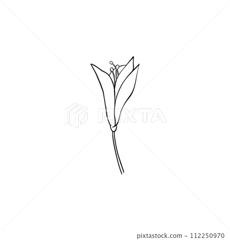 Luxury flower and logo. Trendy botanical element. Hand drawn line leave branch and blooming. Wedding elegant wildflower for invitation save the date card. Vector 112250970