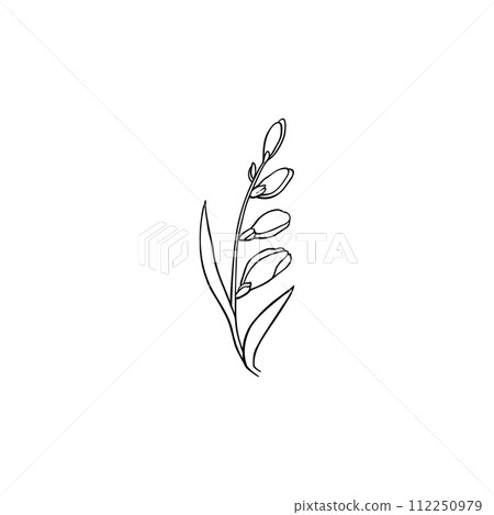 Luxury flower and logo. Trendy botanical element. Hand drawn line leave branch and blooming. Wedding elegant wildflower for invitation save the date card. Vector 112250979