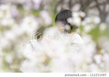 Sisters playing in a park lined with cherry blossom trees 112251497