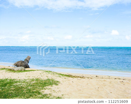 Hawaii's blue sea and sandy beach with stumps, Oahu, Kualoa Regional Park Hawaii's blue sea and sandy beach with stumps, Oahu, Kualoa Regional Park 112251609