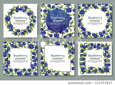 Set of cards with blueberries and green leaves. Frame, background with wild berries. Set of cards with blueberries and green leaves. Frame, background with wild berries. 112251617