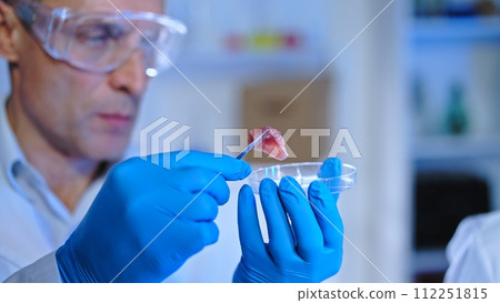 Food scientist testing lab-grown vegan meat in laboratory, quality control Food scientist testing lab-grown vegan meat in laboratory, quality control 112251815