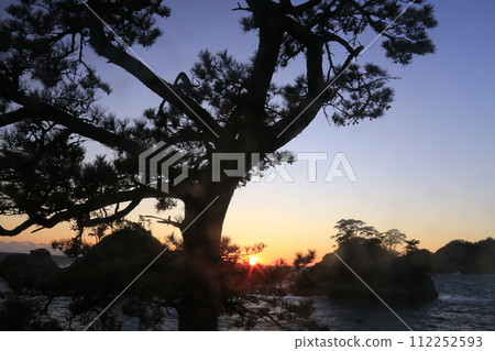 Evening view beyond the pines of Dogashima Evening view beyond the pines of Dogashima 112252593