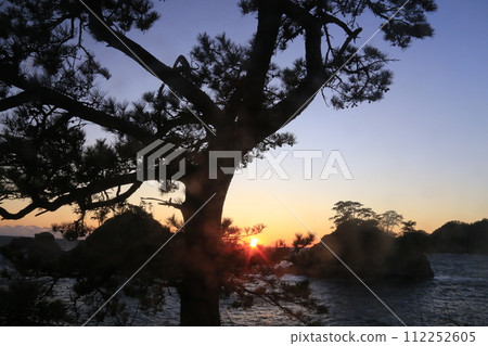 Evening view beyond the pines of Dogashima Evening view beyond the pines of Dogashima 112252605