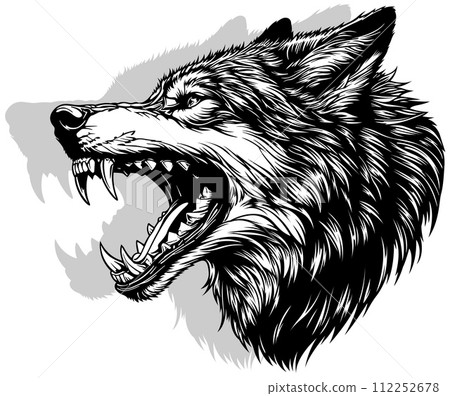 Wolfs Head with its Teeth Bared 112252678