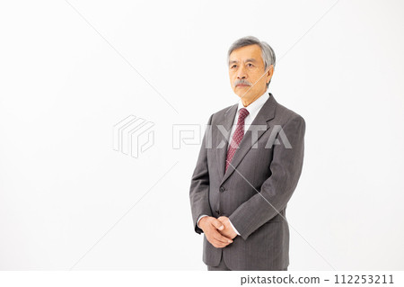 高級男性商務肖像 112253211