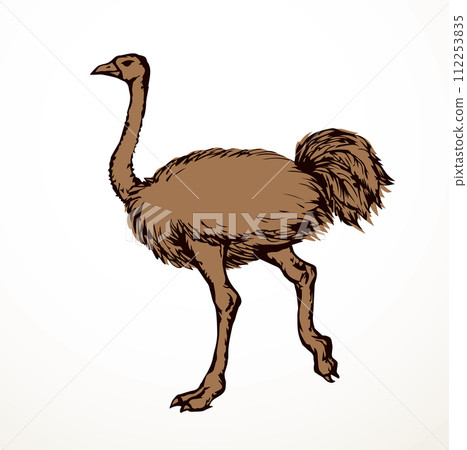 Vector drawing. Ostrich in the steppe Vector drawing. Ostrich in the steppe 112253835