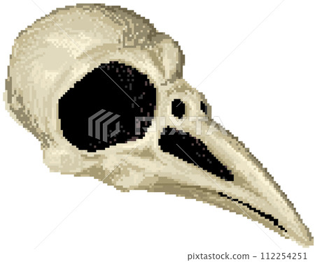 Crow skull Crow skull 112254251