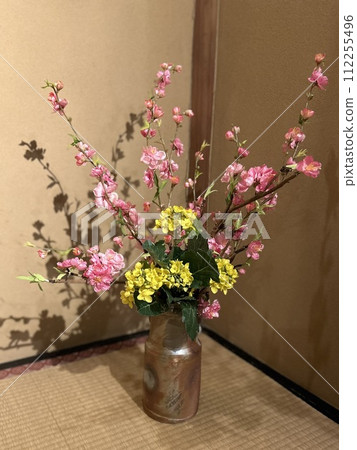 女兒節的花卉裝飾：桃花和油菜花插在備前燒花瓶中。現代日式少女節室內裝潢。 112255496