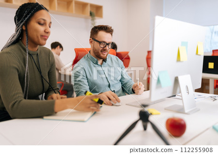 Portrait of male teacher, manager or mentor helping African-American student, new employee, teaching intern, explaining online job using laptop computer, talking, having teamwork discussion in office. Portrait of male teacher, manager or mentor helping African-American student, new employee, teaching intern, explaining online job using laptop computer, talking, having teamwork discussion in office. 112255908