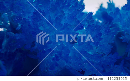 Closeup of ice on glass in winter with pattern in form of leaves 112255915