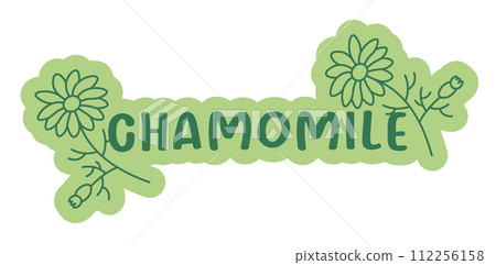 Chamomile Flower Graphic Design vector 112256158
