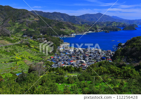 [Ehime Prefecture] Terraced fields and agricultural and fishing village scenery at Uwakaikarihama on a clear day 112256428
