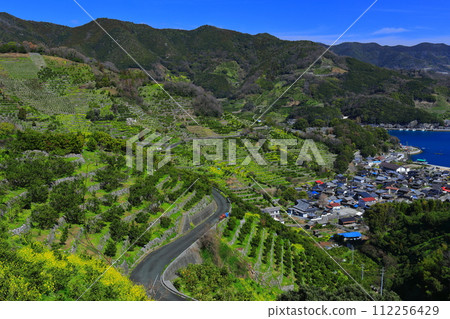 [Ehime Prefecture] Terraced fields and agricultural and fishing village scenery at Uwakaikarihama on a clear day 112256429