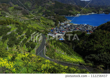 [Ehime Prefecture] Terraced fields and agricultural and fishing village scenery at Uwakaikarihama on a clear day 112256437